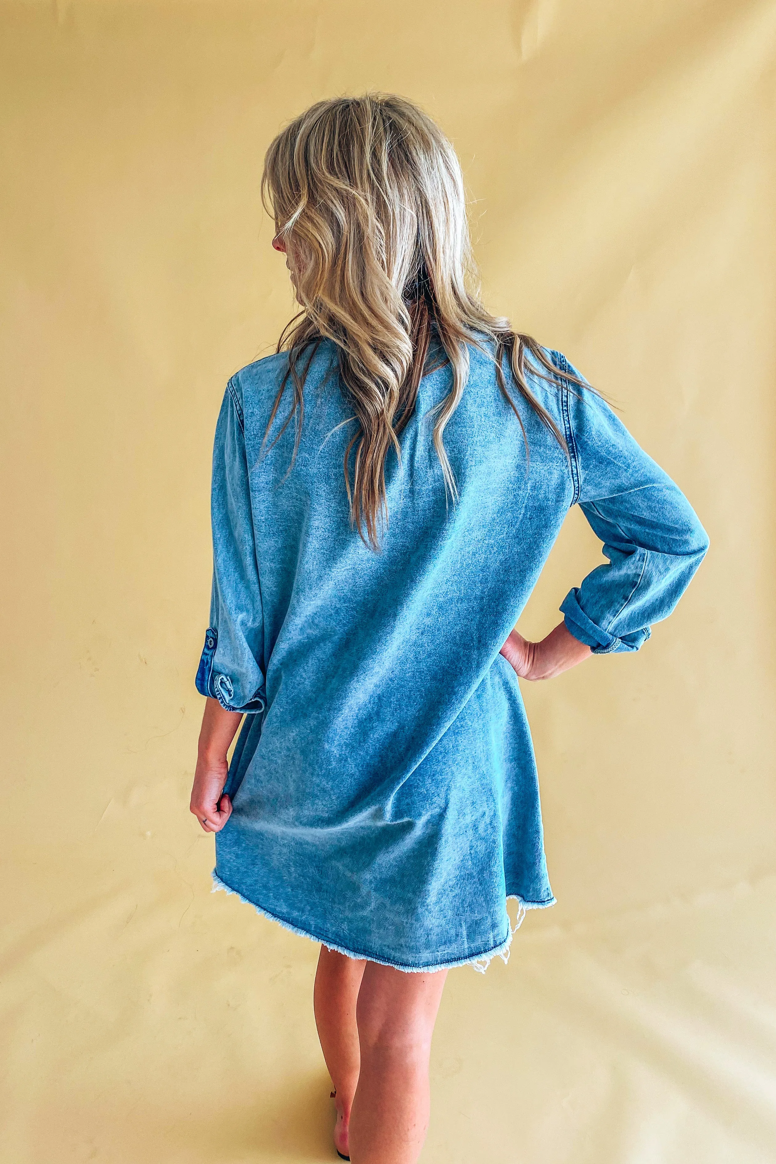 Alice Denim Long Sleeve Dress