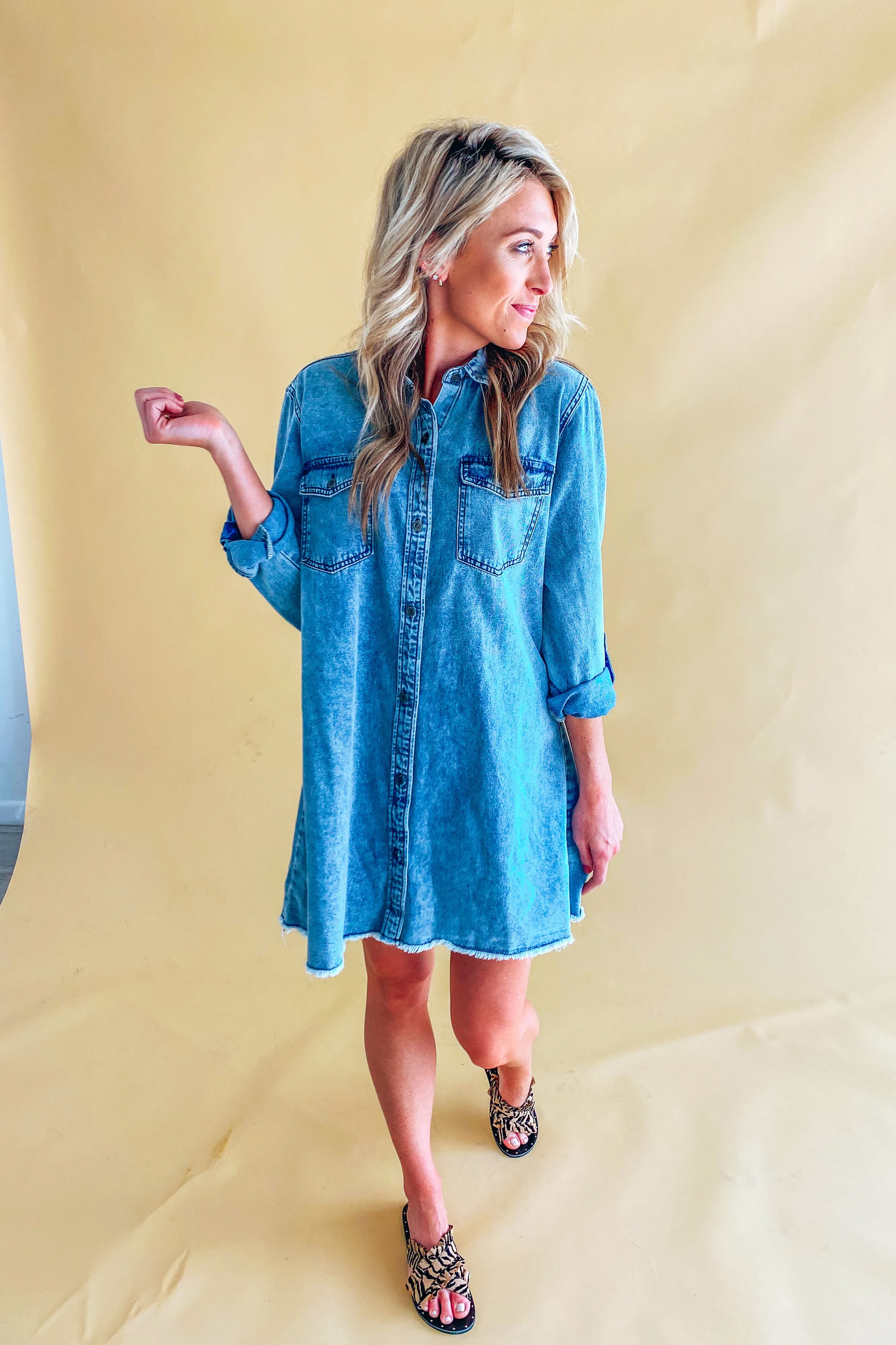 Alice Denim Long Sleeve Dress